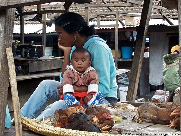 Interior del mercado en Antsirabe
Parada de venta de gallinas
