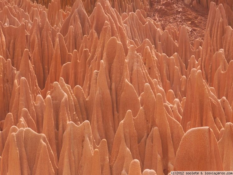 Forum of Tsingy: Tsingy rojos