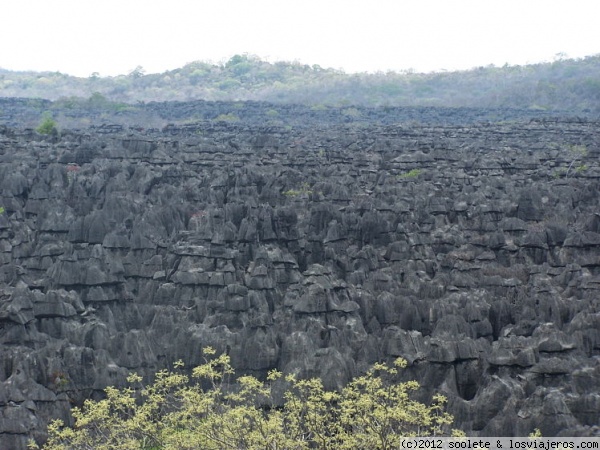 Tsingy negro
Vista desde uno de los miradores
