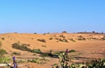 Road from Ifaty to Tulear