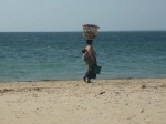 Ifaty, en el sudoeste de la isla
Ifaty, Canal, Mozambique, sudoeste, isla, mujer, niño, paseando, orillas