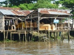 Mekong Delta
Mekong, Delta, también, fabricantes, ataúd