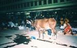 Varanasi railway station