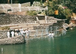Bautizos en el río Jordán en la zona de Galilea
Bautizos, Jordán, Galilea, río, zona, cada, día, personas, vienen, aquí, para, bautizarse