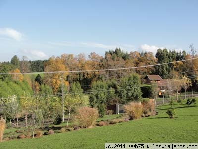 VIsta desde mi ventana
Tomada para la kedada virtual, una bella vista del otoño en Osorno
