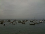 Caleta de Pescadores, Tongoy
Playa Tongoy Coquimbo Caleta Chile