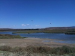 Wetland Pachinga
