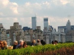 Vistas desde la Terraza del MET