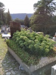 Cementerio Sajón