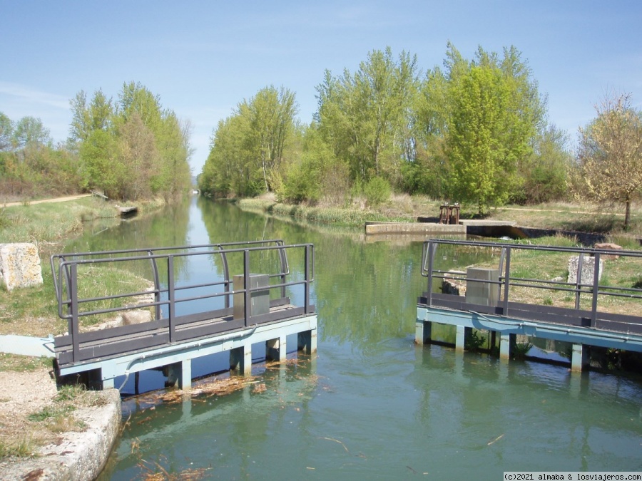 Fin de semana en Carrión de los Condes - Blogs de España - Dia 1: Canal de Castilla (paseo fluvial) (1)