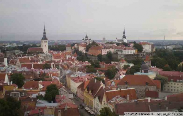 Vistas de Tallin San Olaf
Vistas desde el campanario de la Iglesia de San Olaf en Tallin
