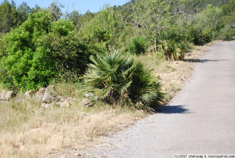 Viajar a  España: La Palma - Palma. Desierto de las Palmas, Benicasim. Castellón (La Palma)