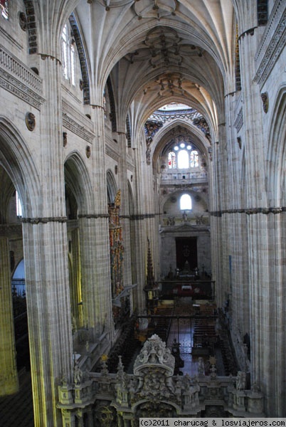 Catedral Nueva, Salamanca
Interior de la Catedral Nueva  de Salamanca donde puede apreciarse la imponente altura de este Templo
