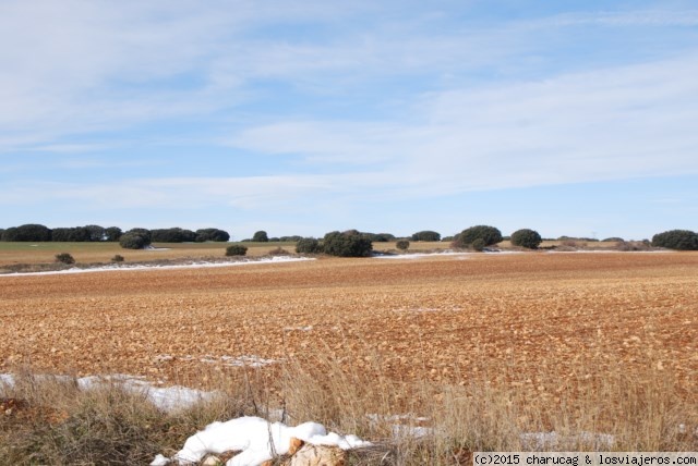 Foro de Alcarria: La Alcarria nevada