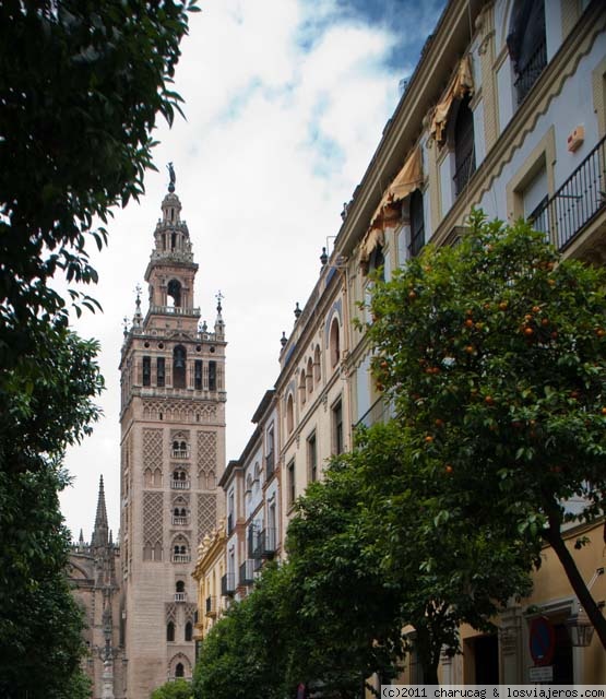 Giralda (Foto 3)