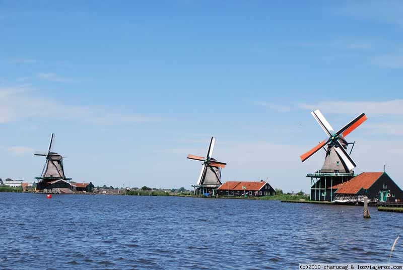 Viajar a  Holanda: THE REEF - molinos de viento (THE REEF)
