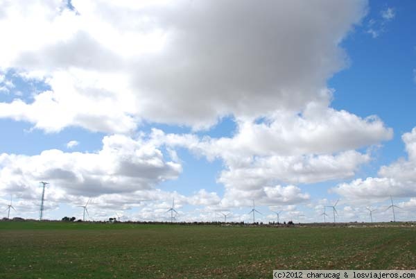 Molinos y nubes
De camino hacia San Pedro de Cardeña (Burgos) me llamó la atención esta vista, con los molinos de viento y el cielo cuajado de borregos, blandos y algodonosos en contraste con el suelo de un verde intenso.
