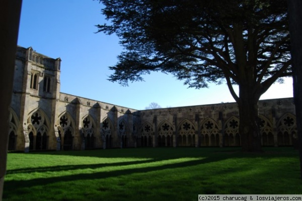Claustro de la catedral de Salisbury
Precioso claustro en gótico primitivo en esta catedral.
