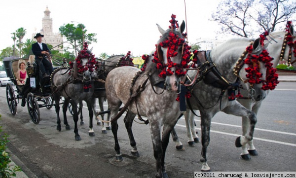 San Valentín viaja este año en AVE (2)