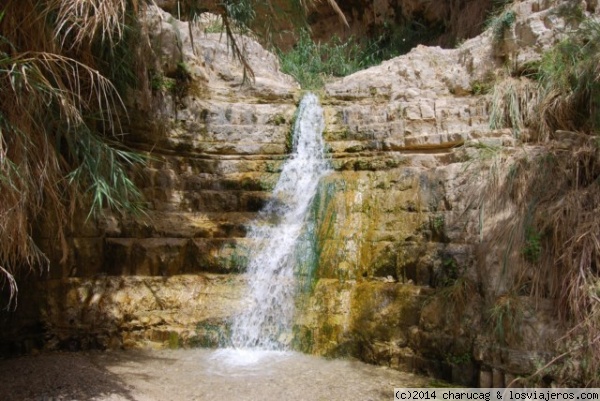 Cascada. En Guedi, Israel.
En el parque natural de En Guedi podemos admirar hasta 7 cascadas diferentes y todo ello en pleno desierto.
