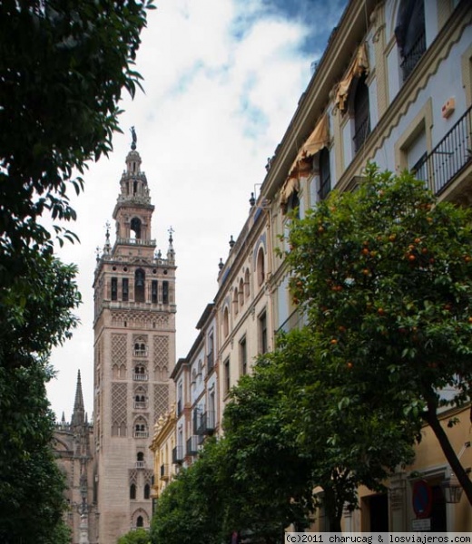 La Giralda de Sevilla
La torre más conocida de España está en Sevilla y luce así de magnífica
