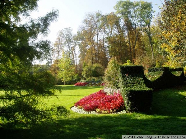 Jardines de Versalles
Un rincón de los preciosos jardines del Palacio de Versalles
