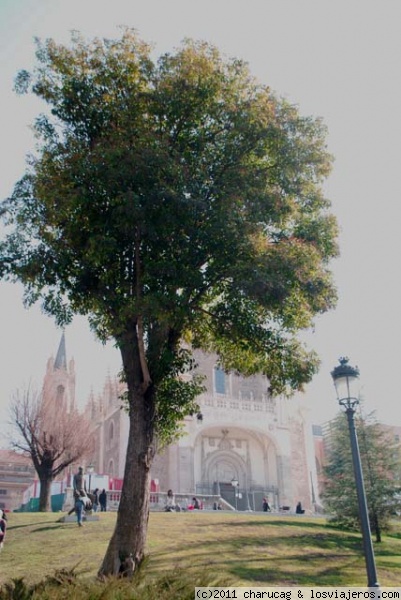 Los Jerónimos
Una imagen distintas de este bello edificio. Ese día hacía tal calor que se nota hasta la calima.
