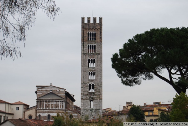 Torre románica
Una de las muchas y preciosas torres qua se pueden admirar en Luca
