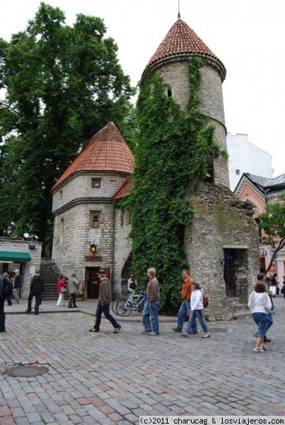 puerta medieval
Puerta de entrada a la ciudad medieval de Tallín
