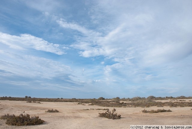 Paraje Natural de Punta Entinas-Sabinar. Almería