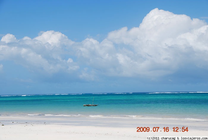 Forum of Diani: Playa en Diani