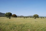 Parque Nacional de Cabañeros