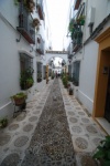 Calle en Córdoba.
Calle, Córdoba, típica, calle, cordobesa