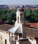 Cigüeñas y golondrinas
Extremadura Caceres Trujillo espadaña cigüeñas golondrinas