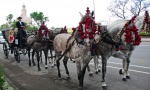 Coche de caballos