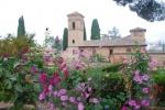 La Alhambra. Granada