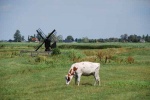 El paisaje de los Polders
Polders