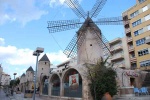 Molinos en Palma
Palma  Mallorca molino Molino