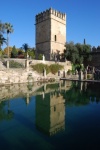 Alcázar. Córdoba