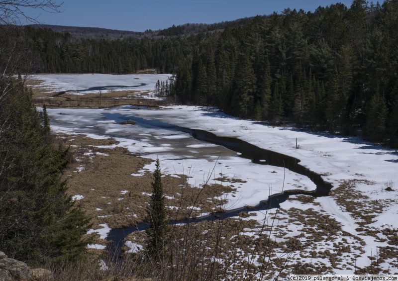 Día 11: Barry's Bay - Algonquin Park - Toronto (398 Km) - CANADA ESTE POR LIBRE (ABRIL 2018) (4)