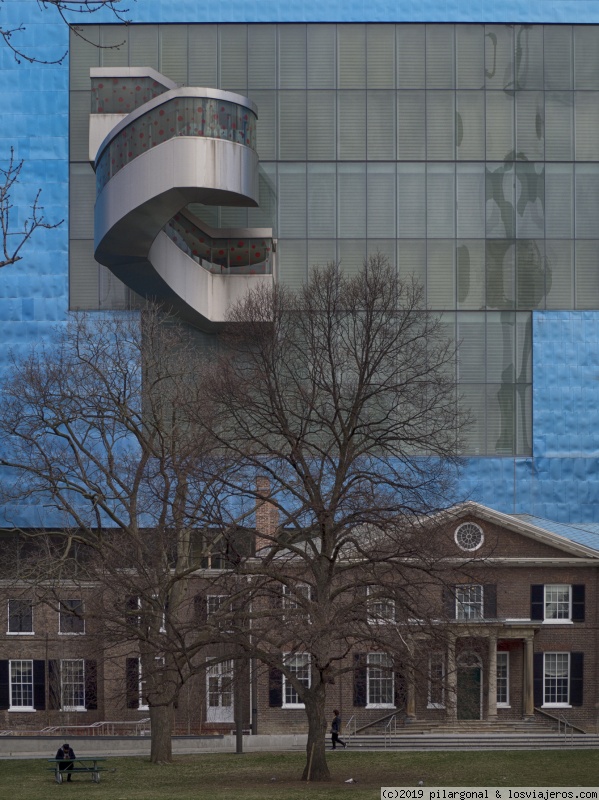 CANADA ESTE POR LIBRE (ABRIL 2018) - Blogs de Canada - Dia 12: Toronto (Old City Hall, AGO, Kensington Market, Casa Loma) (3)