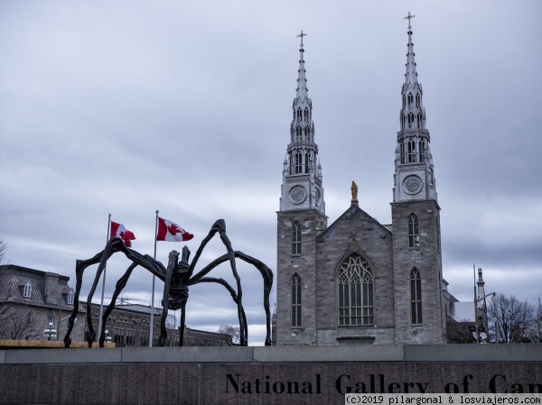 Mama
Araña de bronce de Bourgeois delante de la Basilica Catedral Notre Dame de Ottawa
