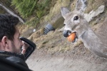 Parc Omega