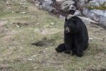 Parc Omega