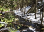 Algonquin Park