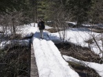 Beaver Pond