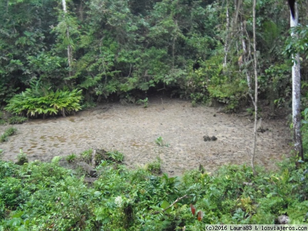 Reserva del Manú
Colpa de minerales a la que, nos dijeron, iban muchos mamíferos a alimentarse por las noches...... aunque no los vimos ;-)
