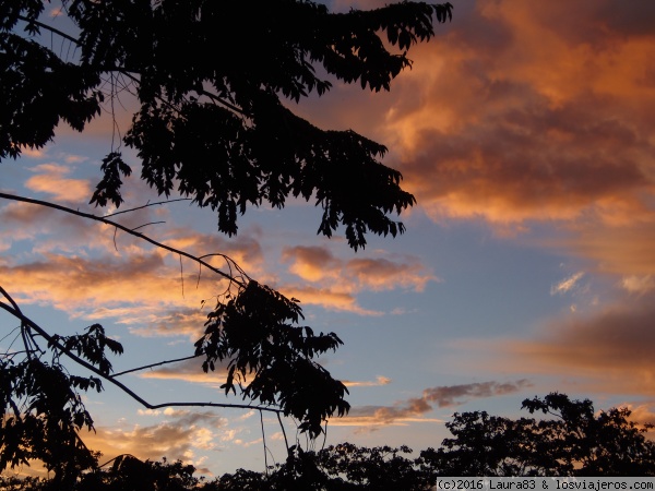 A tres (mil) metros sobre el suelo - Blogs de Peru - Paseo por la selva peruana (9)