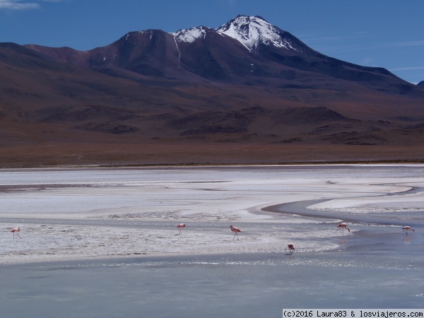 La laguna Hedionda
Hacia el sur de Bolivia, recorriendo el Altiplano
