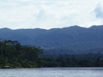 Río Madre de Dios
Río, Madre, Dios, huele, selva